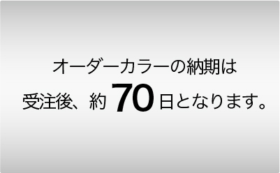 カラーバリエーション